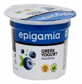Epigamia Greek Yogurt Blueberry  Tub  90 grams